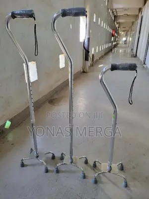 Photo - Walking Stick一cane*Aluminum,Making It Lightweight Yet Sturdy