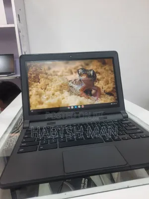 New Laptop Dell Chromebook 11 4GB Intel Celeron SSD 16 GB