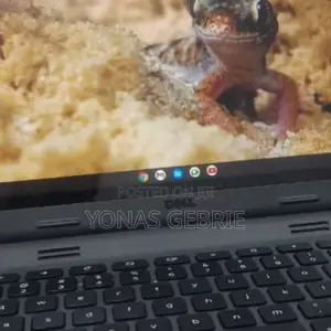New Laptop Dell Chromebook 11 4GB Intel Pentium SSD 16 GB