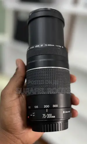 Ef 75-300 Zoom Lens