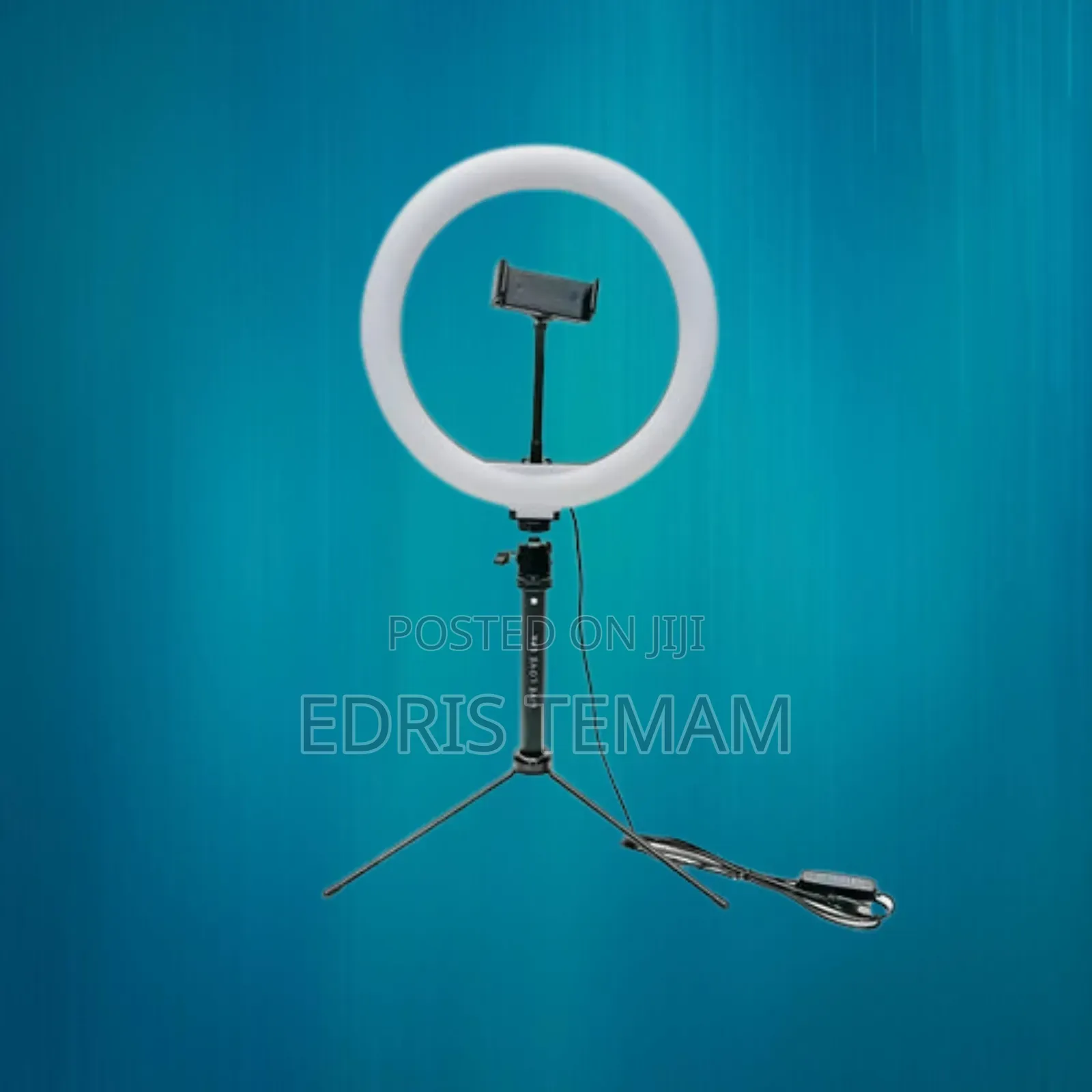 Bright 10" Ring Light for Video Calls