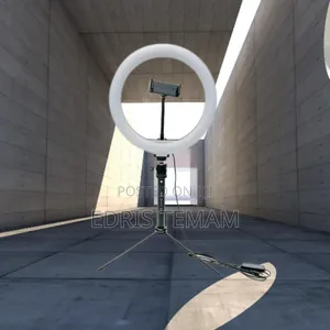 Portable 10 Inch Ring Light With Stand