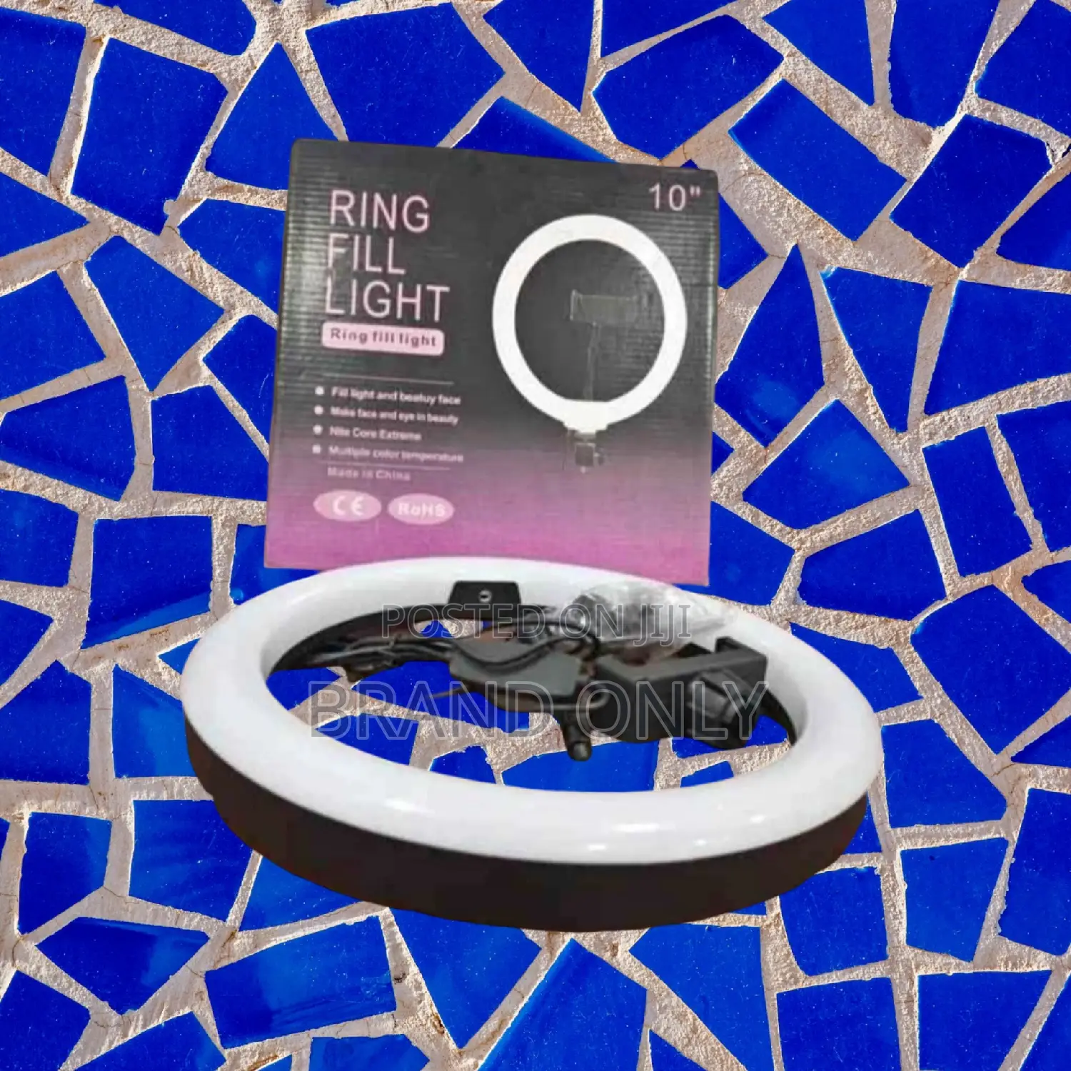 10 Inch Ringlight for Tiktok Creators