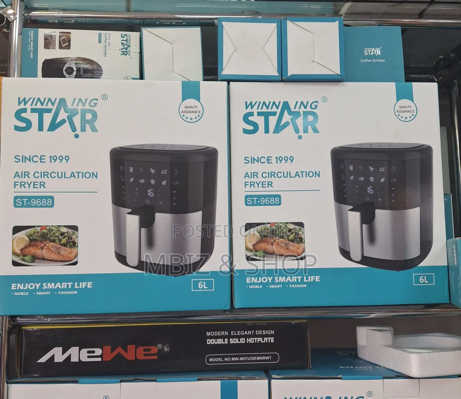 Winning Star 6 Liter Air Fryer