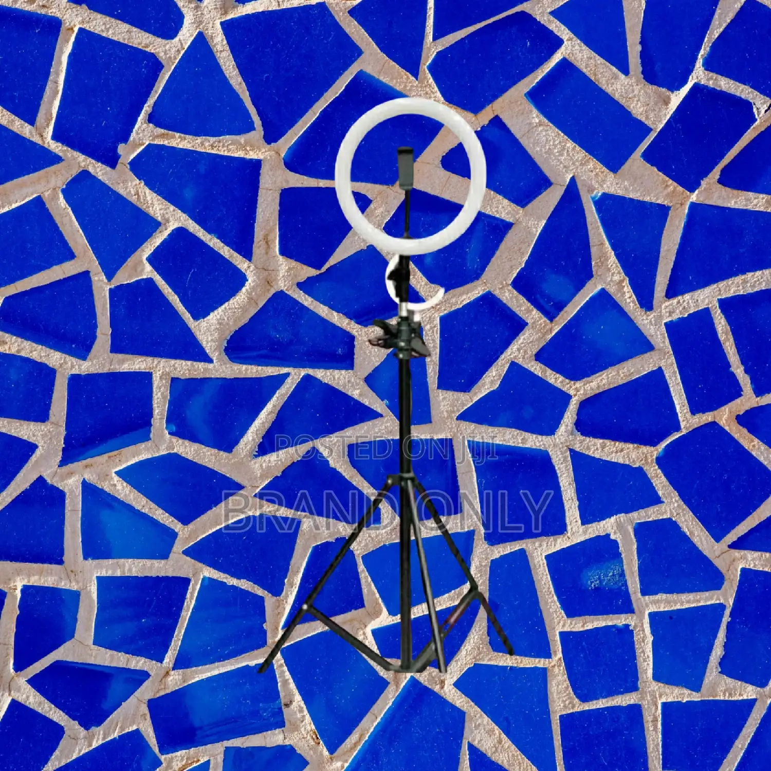 10 Inch Ringlight for Streaming Games