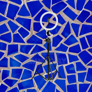 Photo - 10 Inch Ringlight for Streaming Games