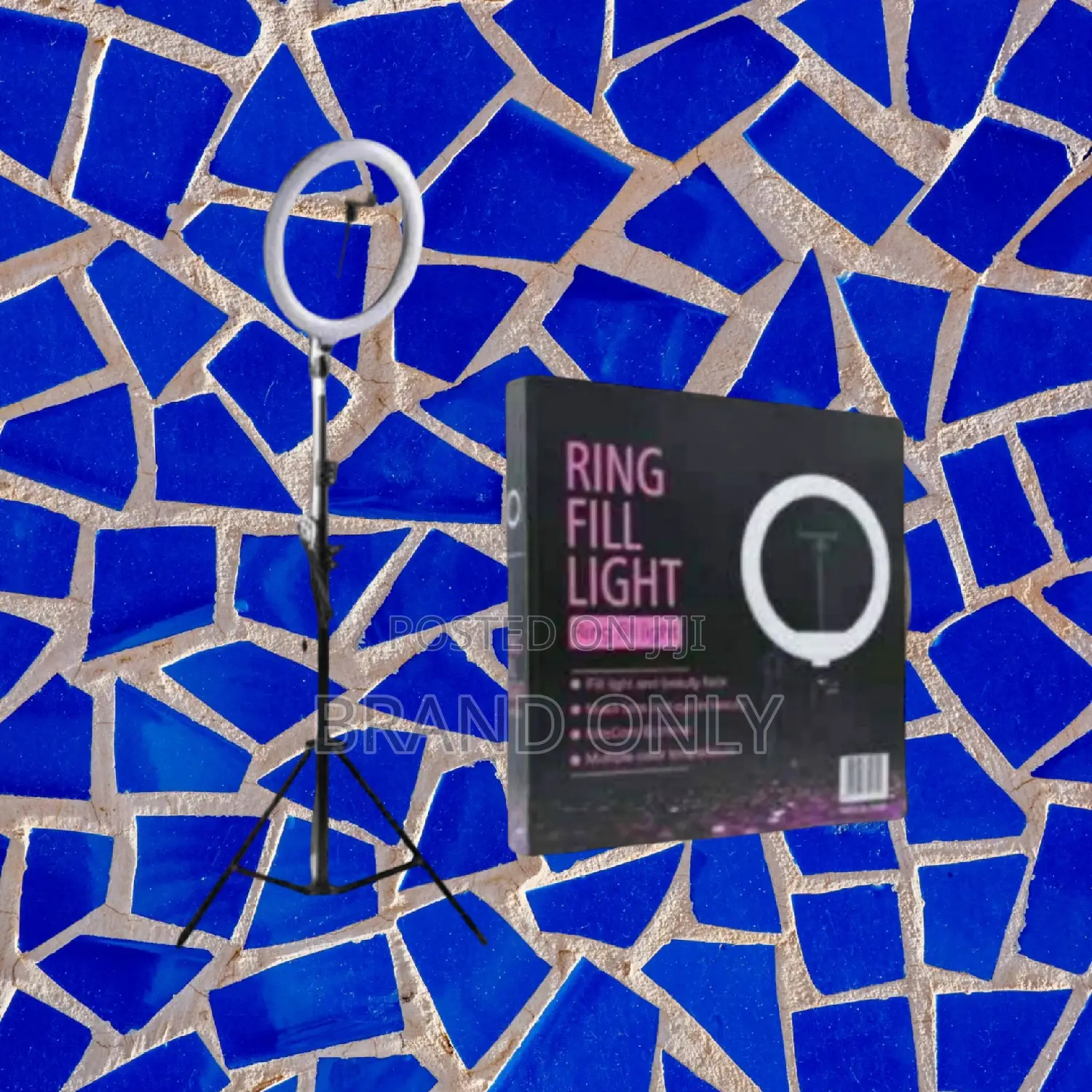 10 Inch Ringlight for Podcast Recording