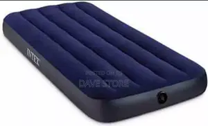 Intex Inflatable Mattress!