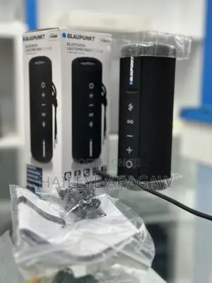 Photo - Speaker Blaupunkt