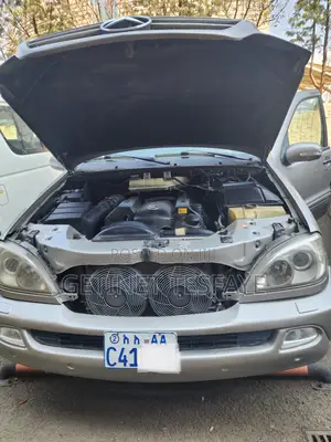 Mercedes-Benz M Class ML 350 2005 Silver