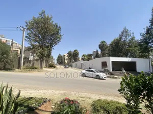 10bdrm House in Bole Ministroch for rent