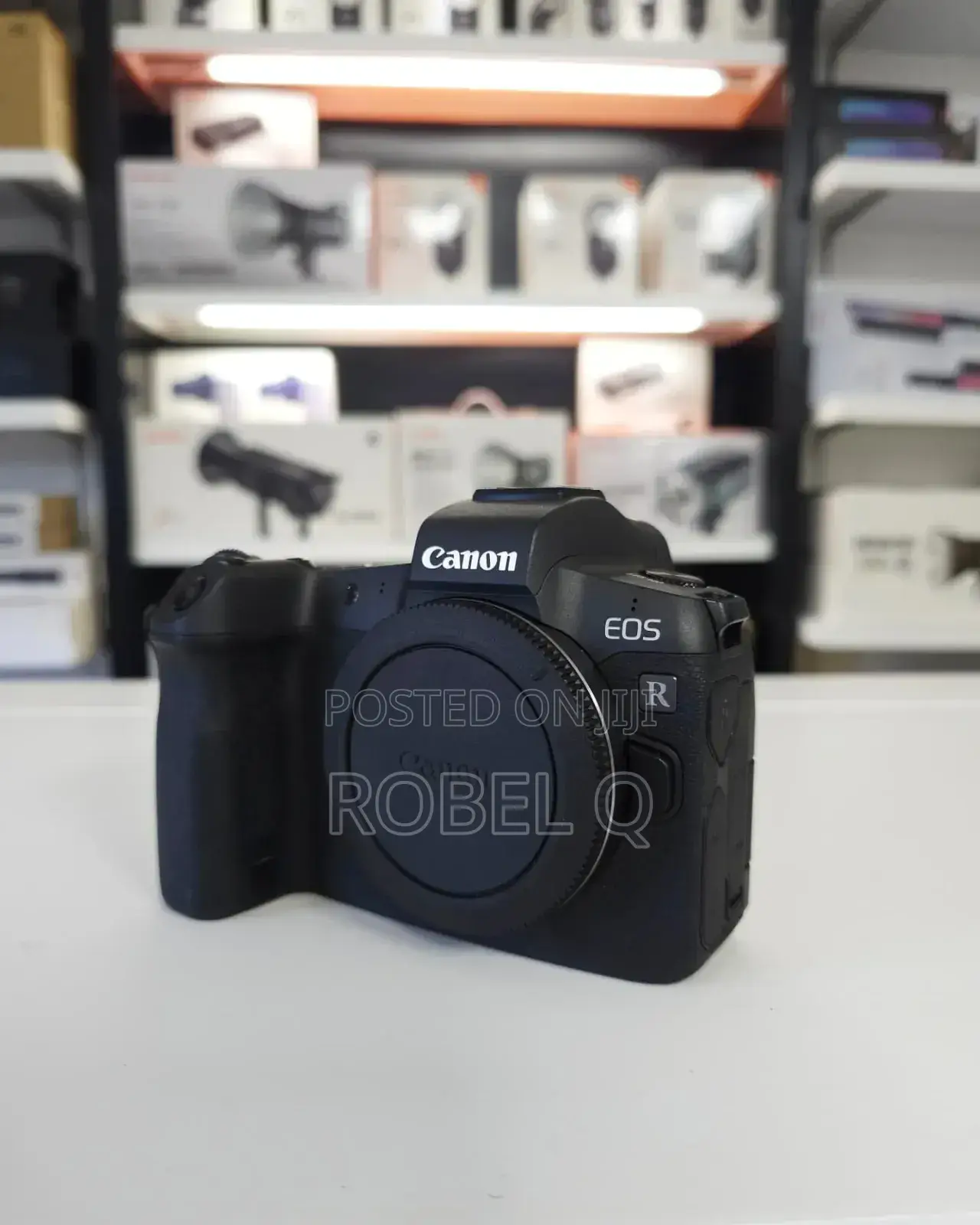 Canon R Body (Full Frame)