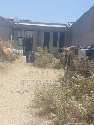 Photo - የሚሸጥ ኤል ሸፕ 250 ካሬ 12.5 ሚሊዮን ብር