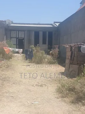 የሚሸጥ ኤል ሸፕ 250 ካሬ 12.5 ሚሊዮን ብር