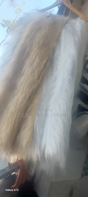 Photo - የተለያዩ ከለር ፈር