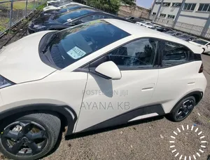 New BYD Seagull 2025 Ivory