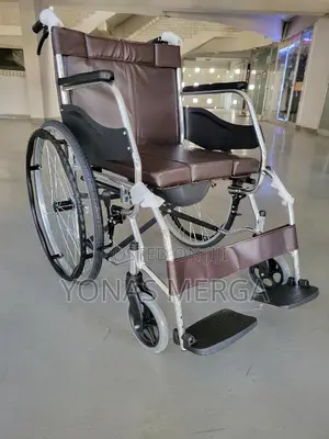 Toilet Wheelchair፺凸wheelchairዊልቼር/Using Standard Toilets.