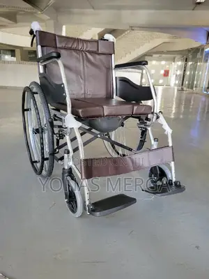Wheelchair, Which Mobility Aid Wiz Built-in Toilet Feature