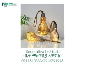 Photo - Hanging Bulb With Fairy Lights