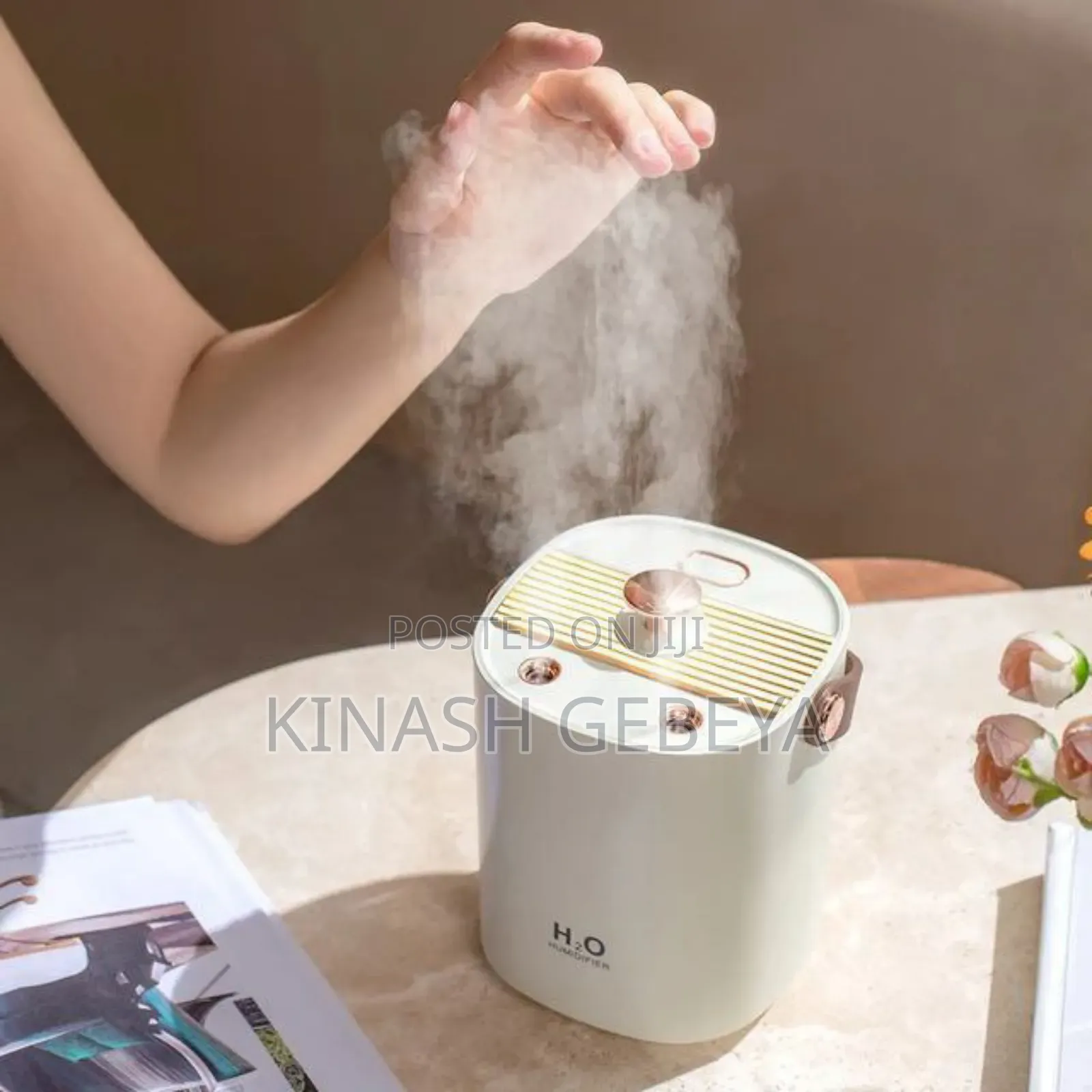 H20 Double Spray High Quality Humidifier