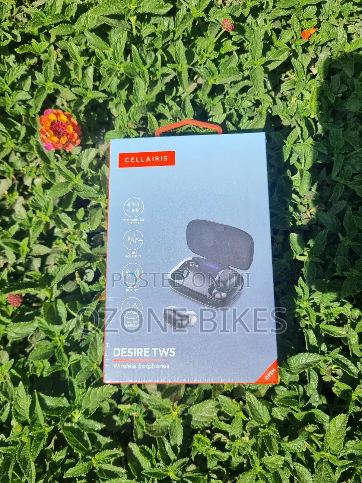 Cellairis Desire TWS Earbuds