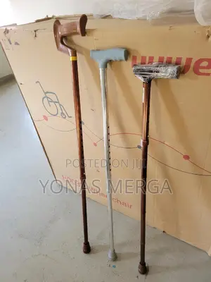 Walking Stick/Cane/Experiencing Pain/Instability in the Leg