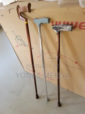 Photo - Walking Stick፶¥Cane፯a/Corthopedic Walking Sticks and Tripods