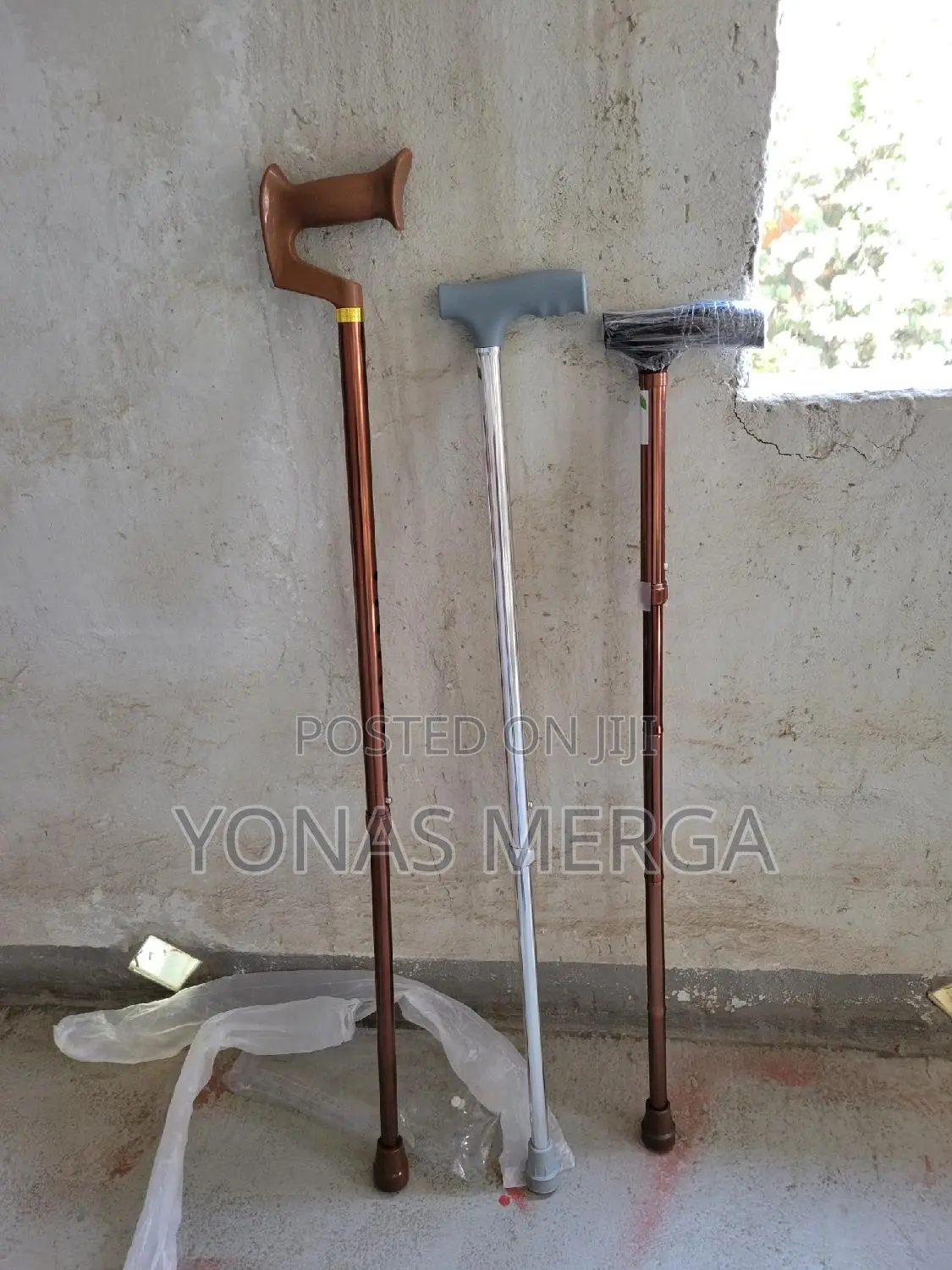 Walking Stick (Also Known as Walking Canecanewalking Staff