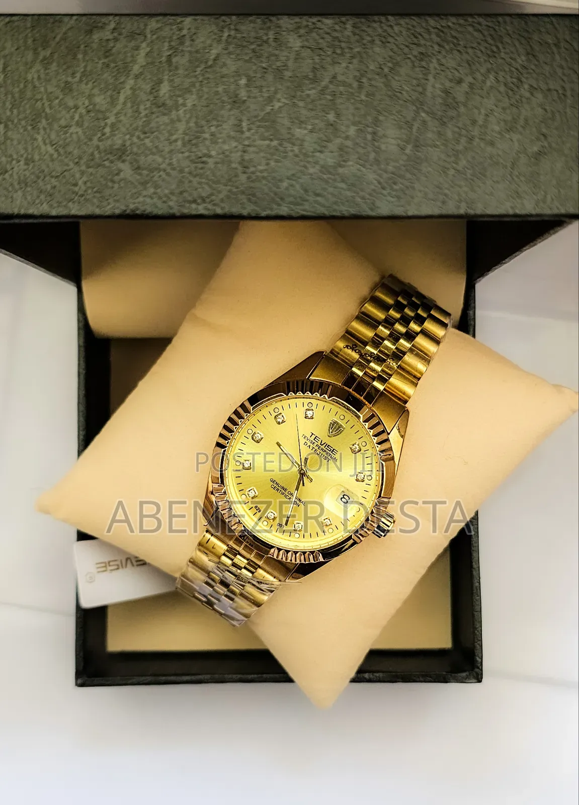 Tevise Automatic Men's Watch Elegant Sophisticated