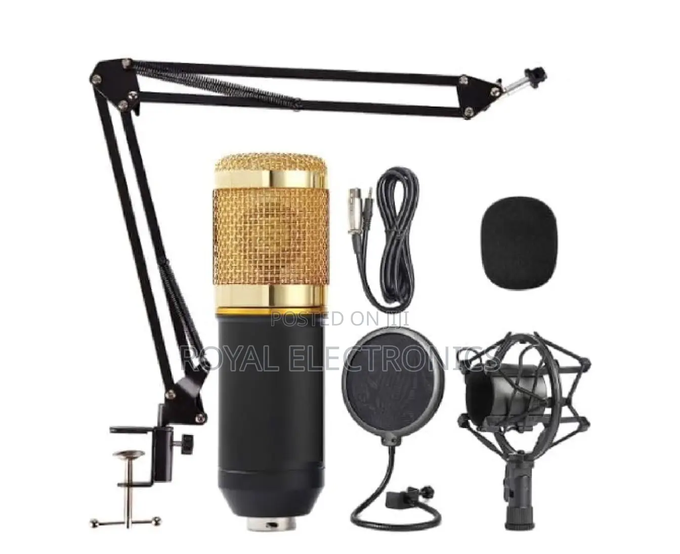 Legendary Vocal Condenser Microphone With Full Set