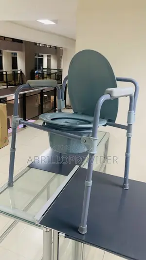 Toilet Seat and Shower Chair1toilet Chair1toilet Chair