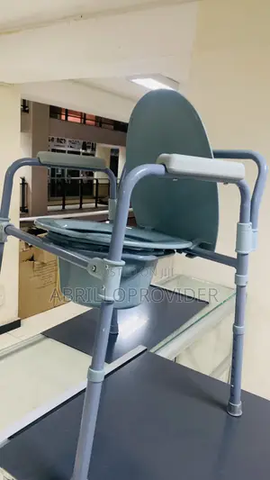 Toilet Seat and Shower Chair1toilet Chair1toilet Chair