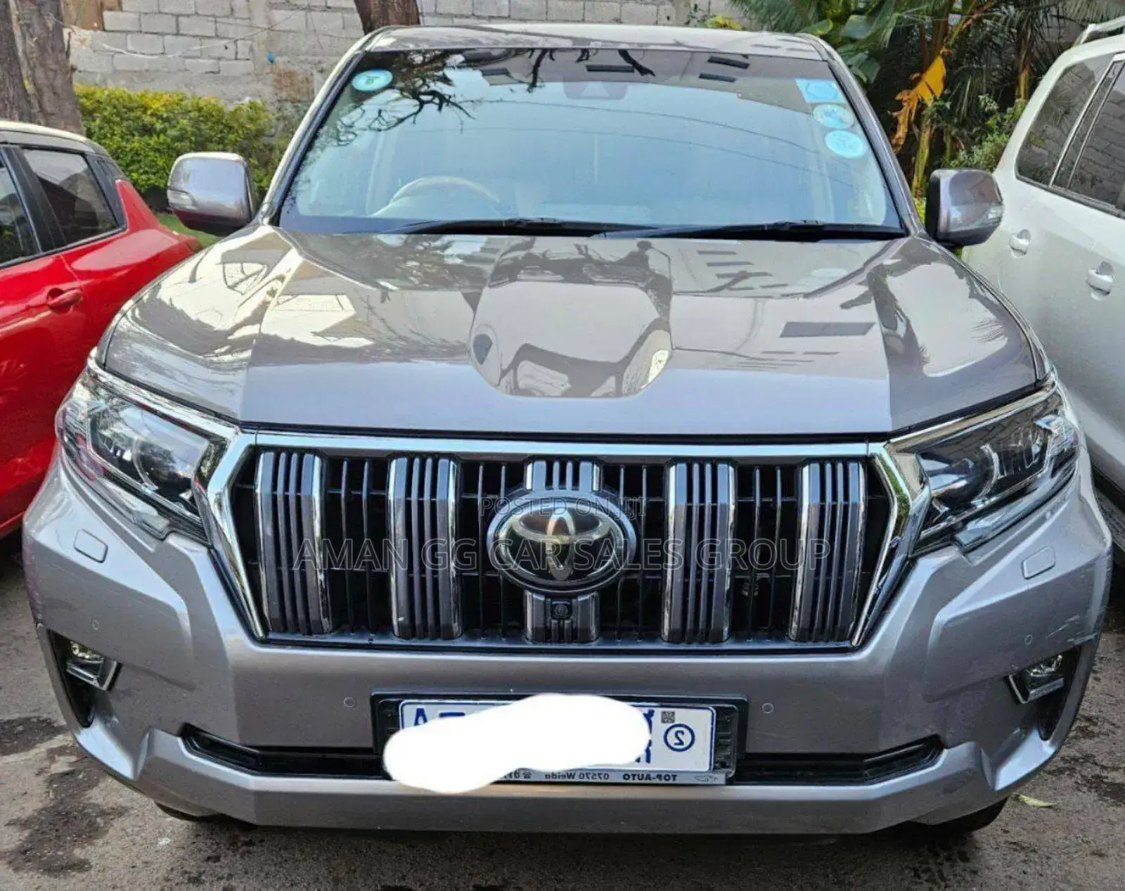 Toyota Land Cruiser 2019 Gray