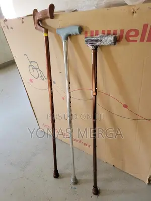 Photo - Walking Sticks Crafted for Comfort and Confidence.