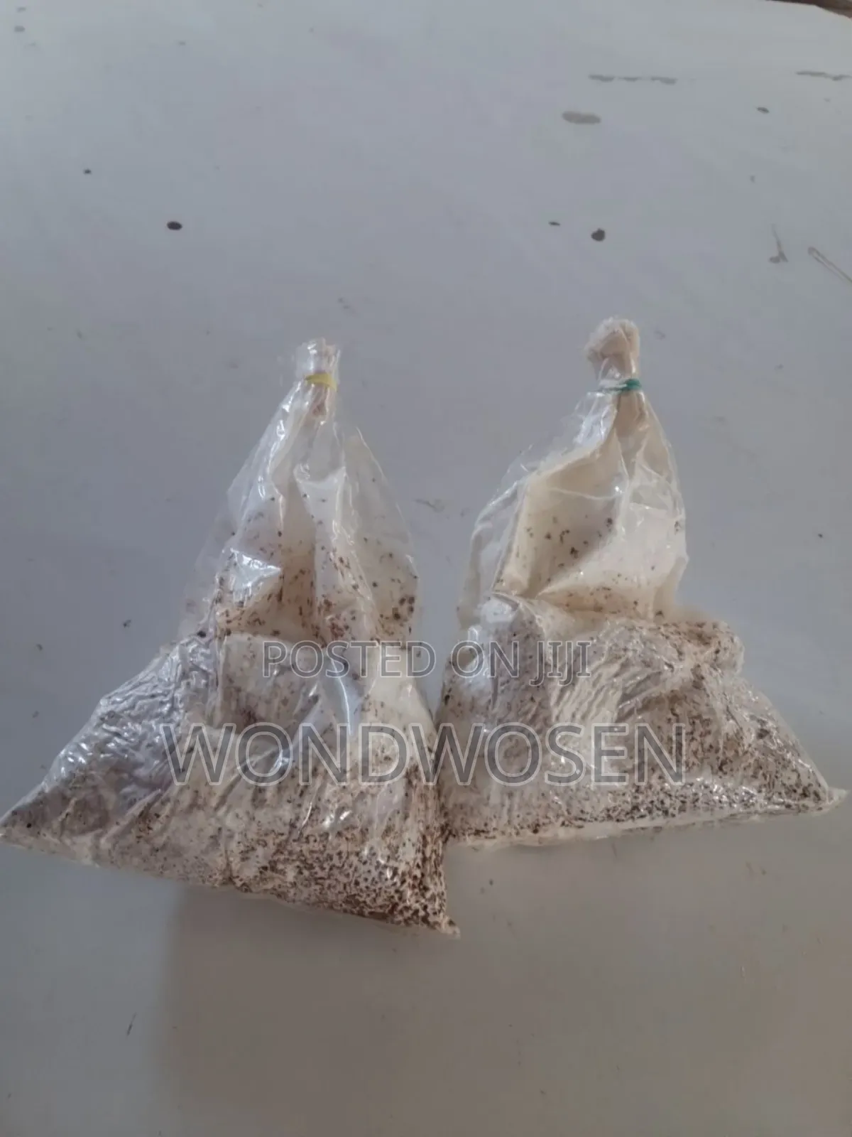 የእንጉዳይ (በተን) ዘር። Button Mushroom Spawn