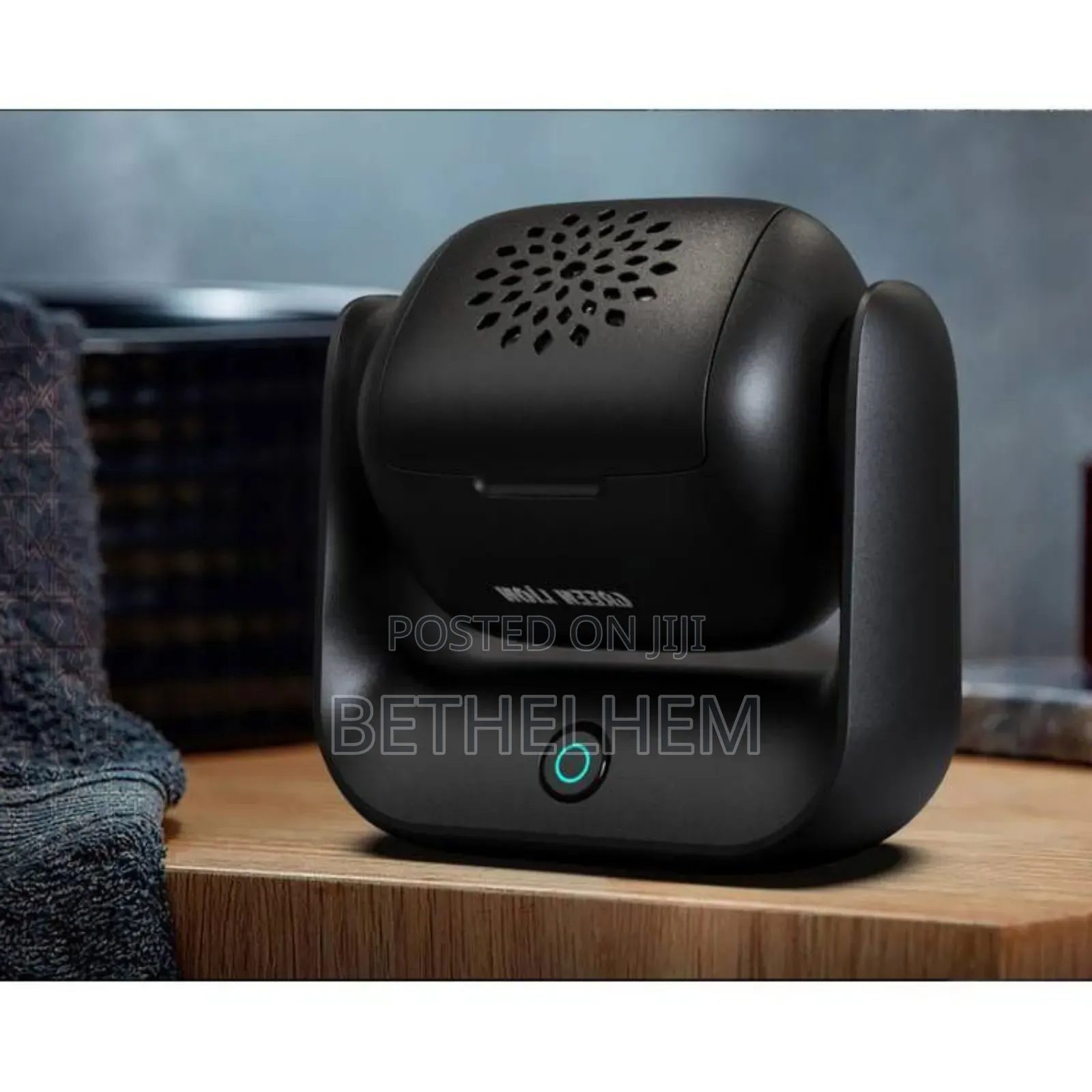 Green Lion Rotatable Incense Burner