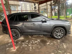 New Toyota RAV4 LE AWD 2023 Gray