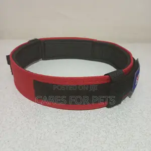 Red Extra Comfortable Collar