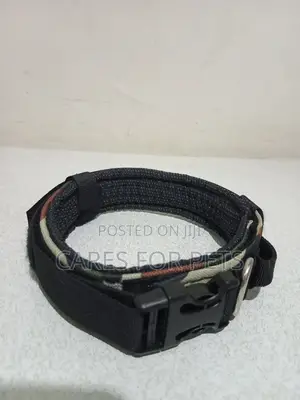 Comfortable __ Collar