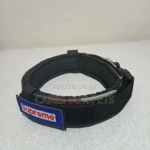 Comfortable __ Collar