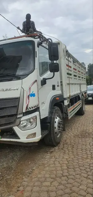 Photo - Foton. 20224 Model