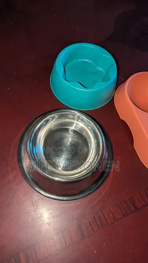 Bowl for Your Dogs
