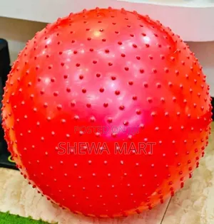 Photo - Gym Ball for Exercise