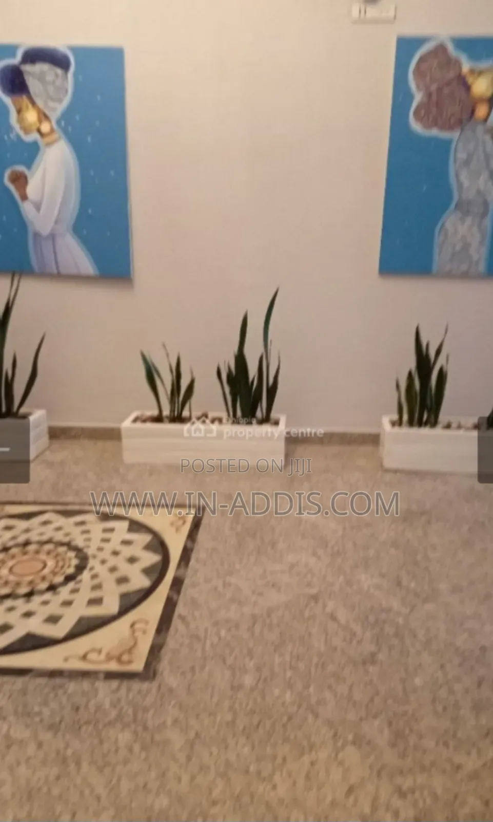 Furnished 1bdrm Apartment in Bole for rent