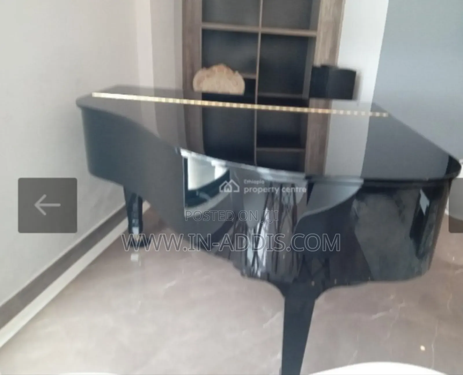 Furnished 1bdrm Apartment in Bole for rent