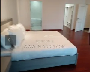 Furnished 1bdrm Apartment in Bole for rent