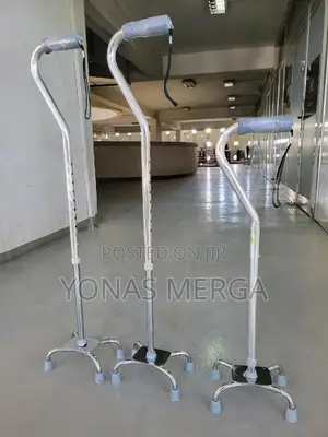 Photo - Walking Stick*፮application: Walking for the Elderly