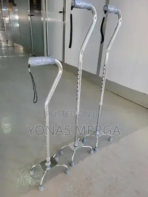 Photo - Walking Stick /Endurance Small Base Quad Cane in Silver