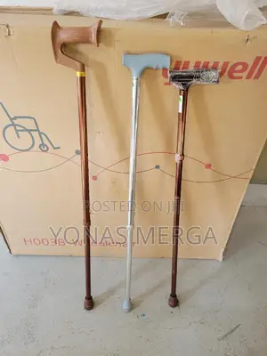 Photo - Walking Canes for Women and Men፪盎walking,Balance,And Posture