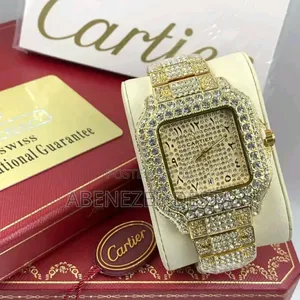 Photo - Cartier Iced New Shine Luxury Men's Watch